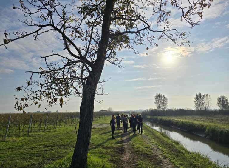50대의 늦깎이 와인 여행: 여행과 열정에 관해서..새로운 세상을 향해 떠나다.